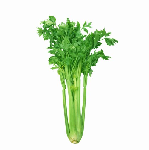 Ӫѧң6Ŷʳ